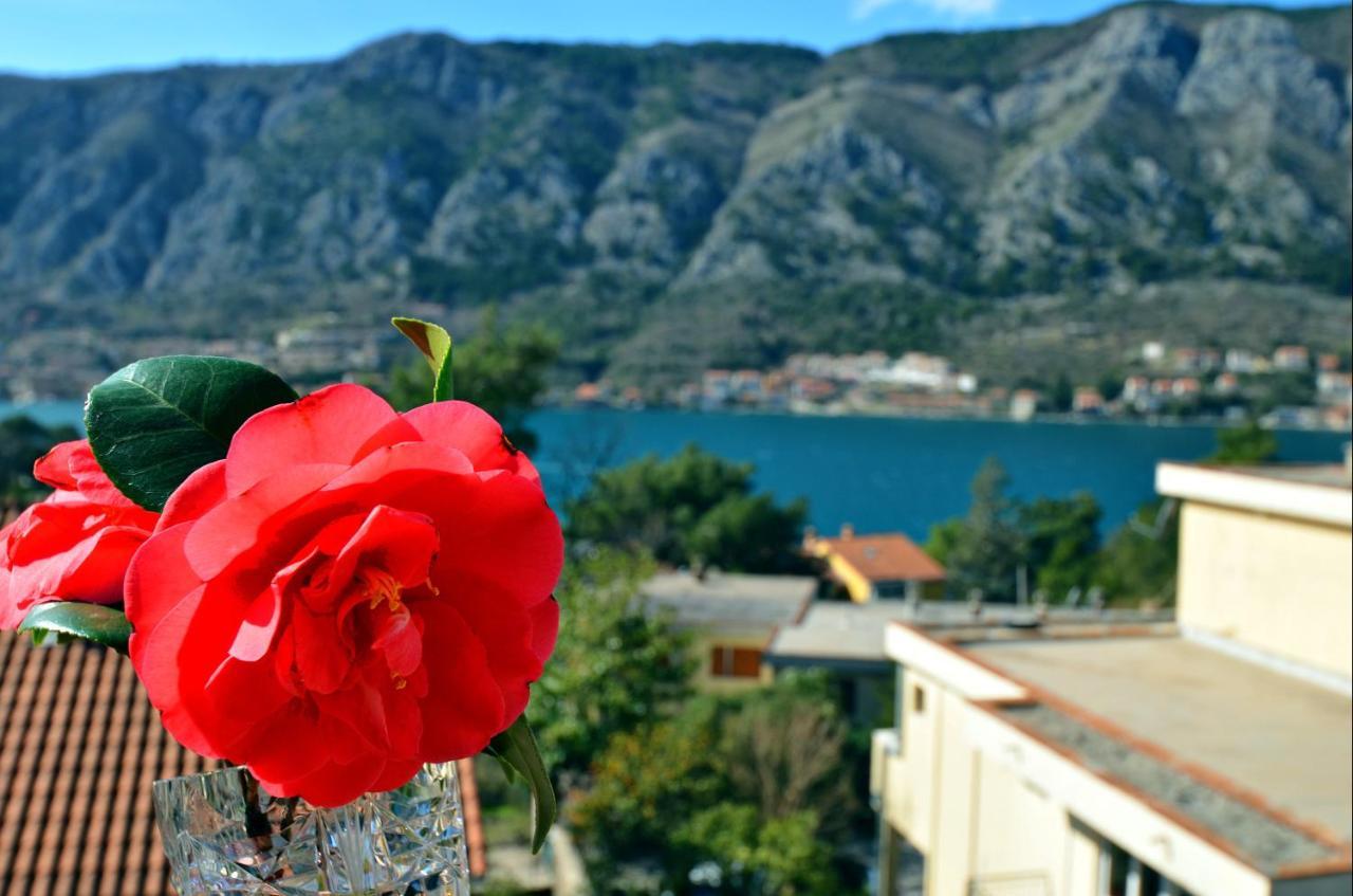 Appartement Dc C Kotor